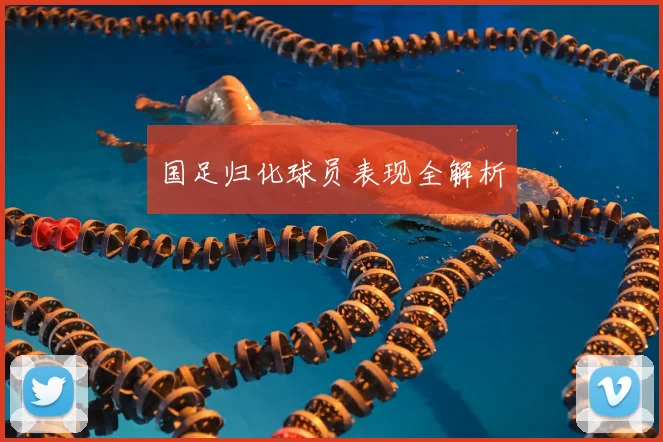 国足归化球员表现全解析